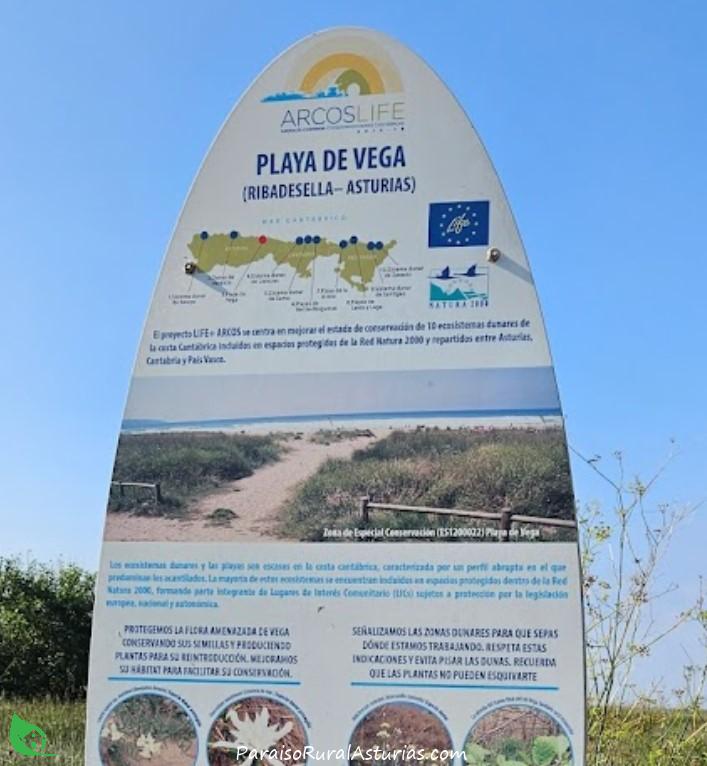 Playa de Vega 18 Playa de Vega 17