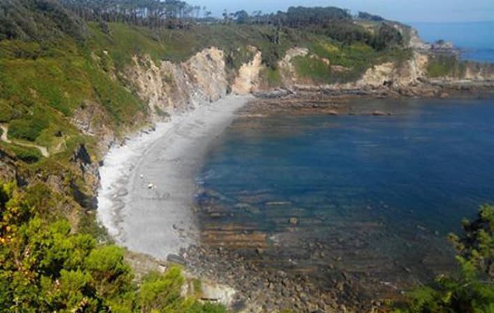 Playas para perros en Asturias 12 Playas para perros en Asturias 11
