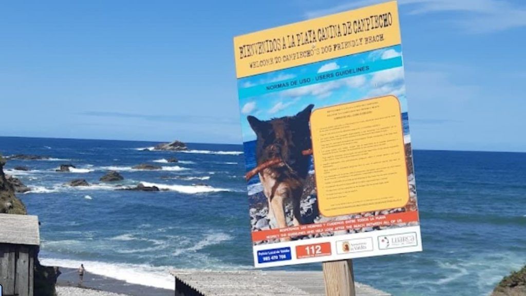 Playas para perros en Asturias 8 Playas para perros en Asturias 7